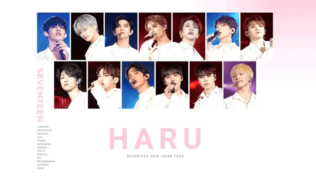 セブチ ライブ2019 JAPAN TOUR 'HARU'