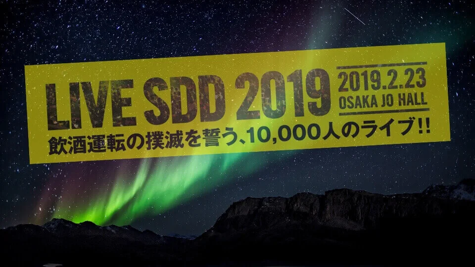 LIVE SDD 2019 セトリ