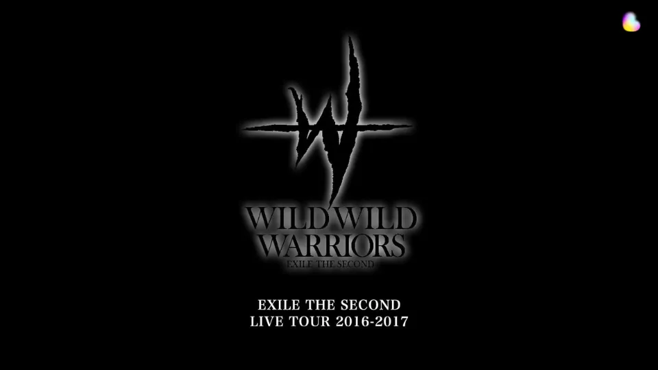 EXILE THE SECOND ライブツアー 2016-2017 "WILD WILD WARRIORS" セトリ
