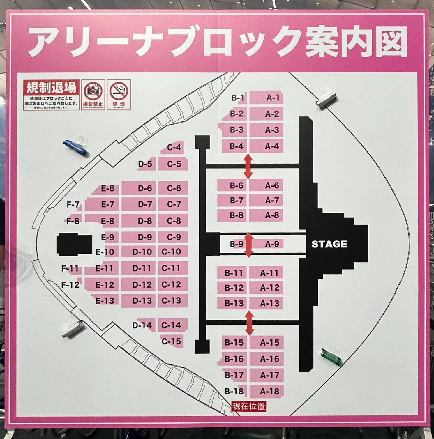櫻坂46『4th ARENA TOUR 2024 新・櫻前線 -Go on back?- IN 東京ドーム』の座席表